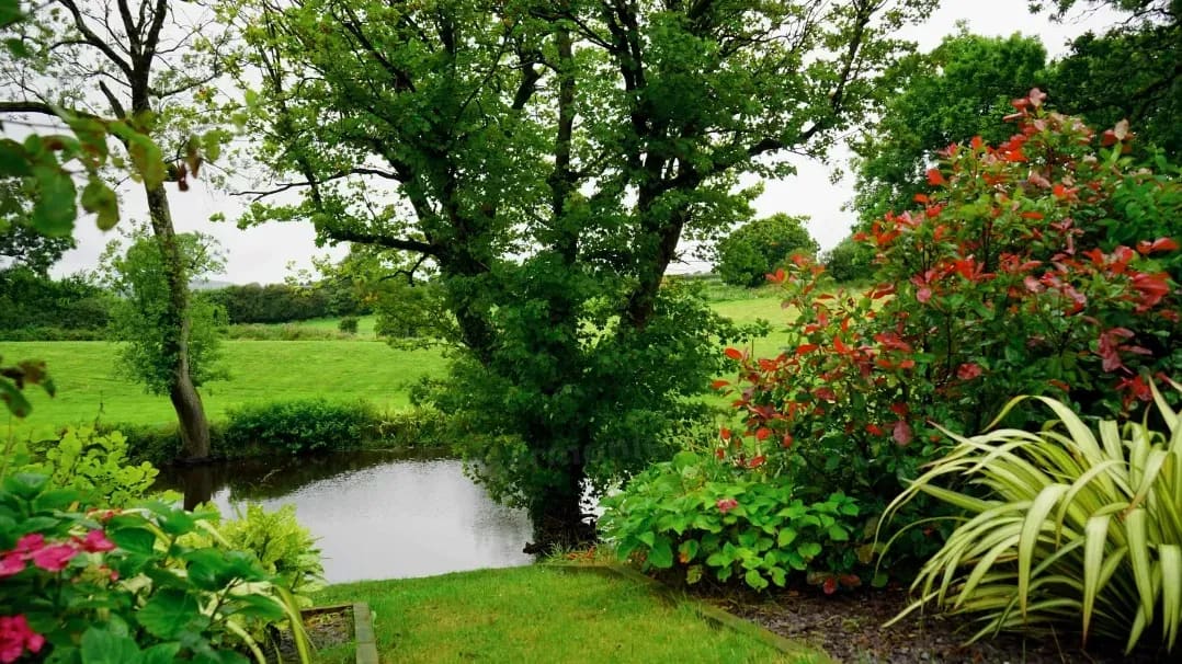 Jardin Harmonie 12