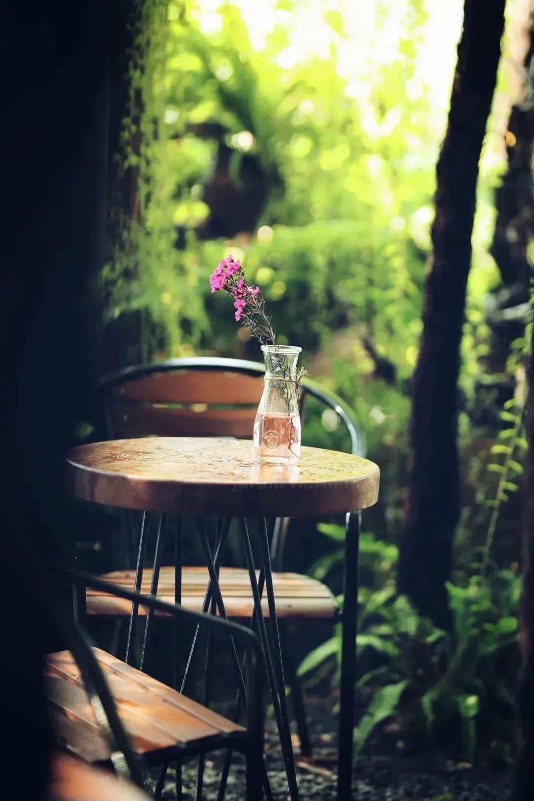 Jardin Harmonie 15