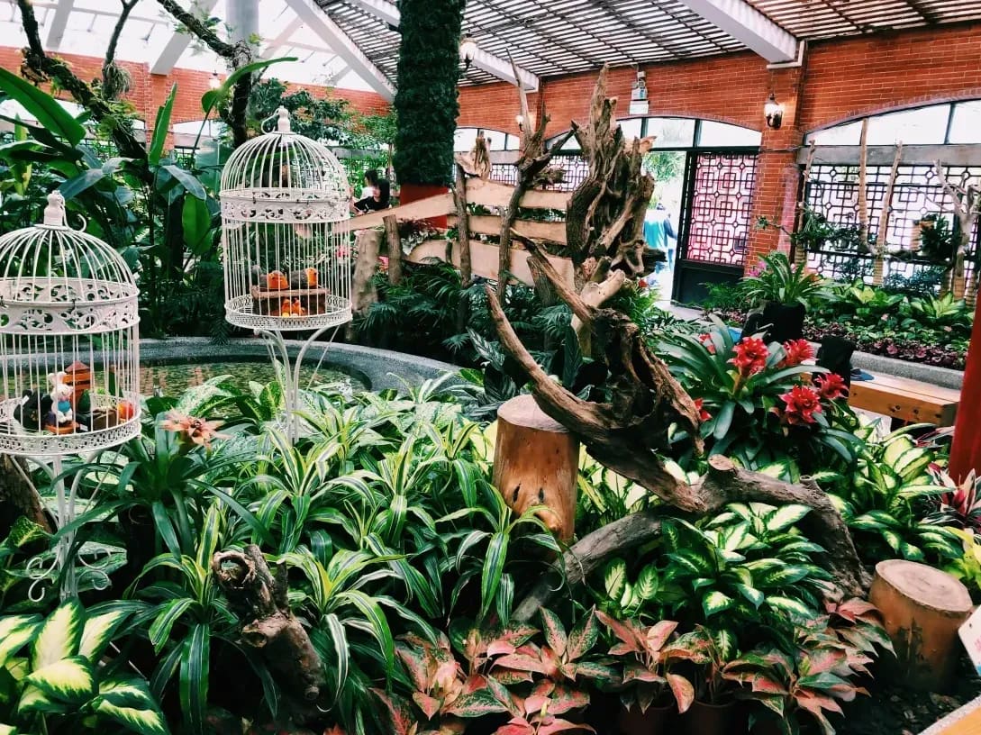 Jardin Harmonie 5