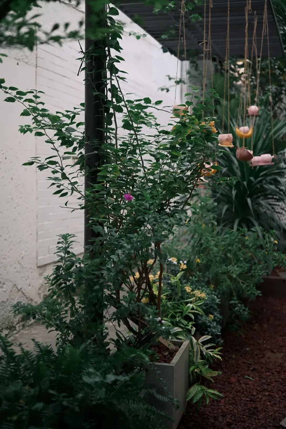 Jardin Harmonie 6
