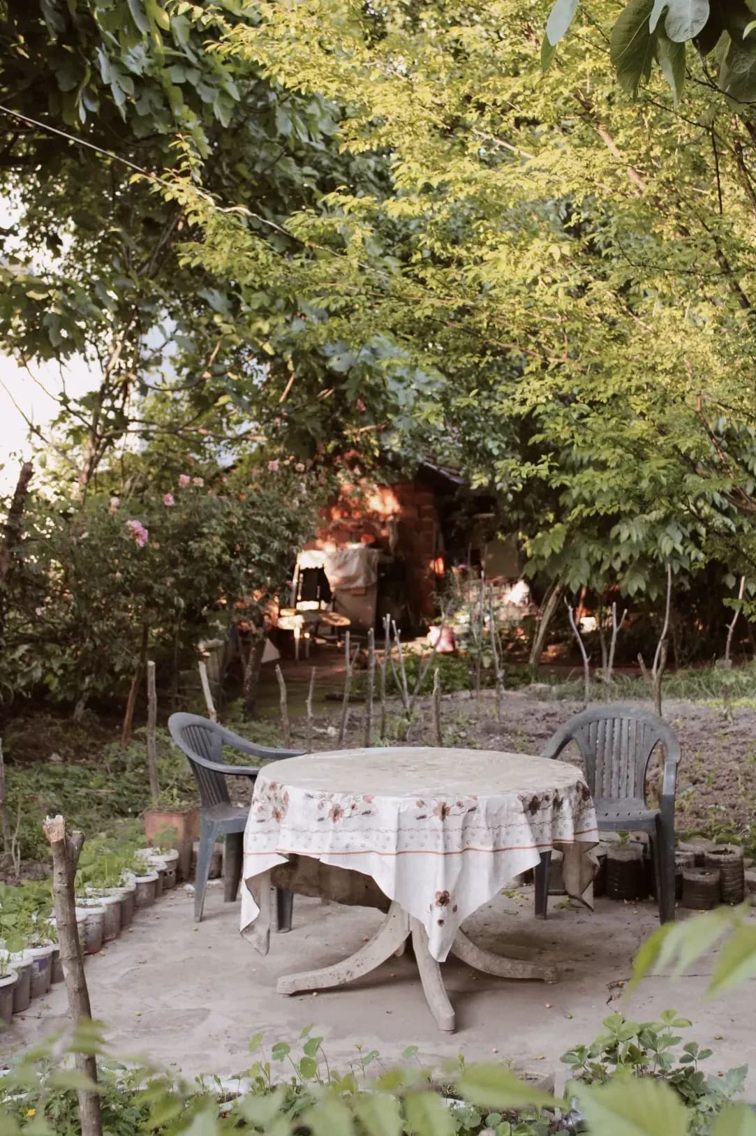 Jardin Harmonie 7