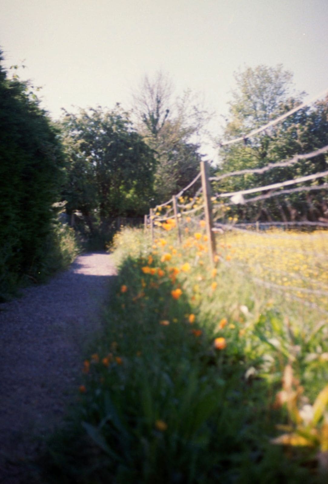 Entretien régulier des jardins
